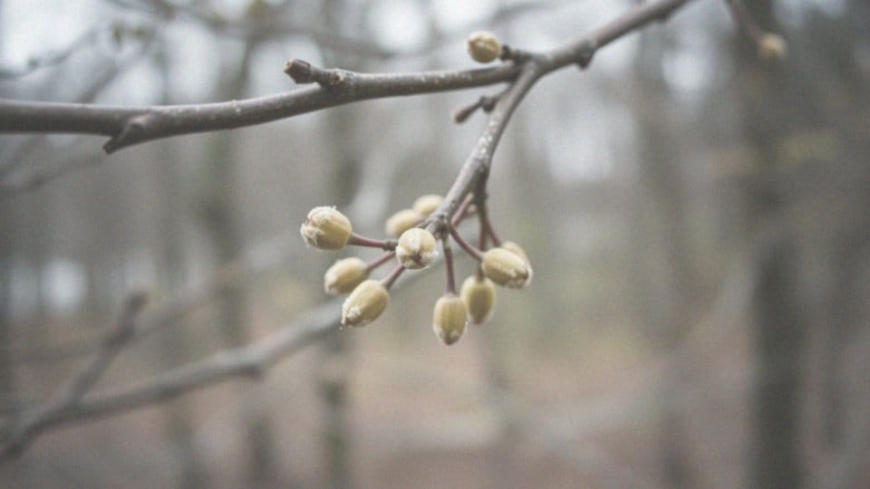 Co pyli w marcu? Alergeny i rośliny, na które warto uważać