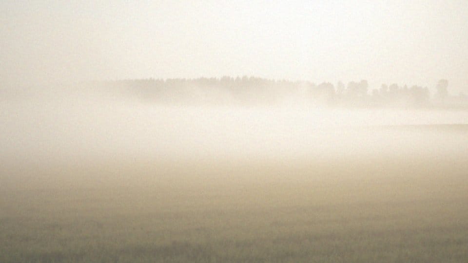 Co zwiastuje mgła? Poznaj tajemnice pogodowych oznak
