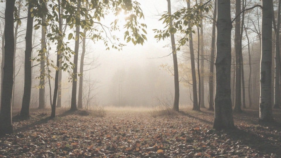 Etapy oczyszczania organizmu po rzuceniu palenia – co warto wiedzieć?