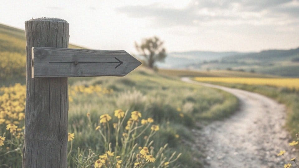 Jak zapobiegać miażdżycy? Skuteczne metody i zdrowe nawyki