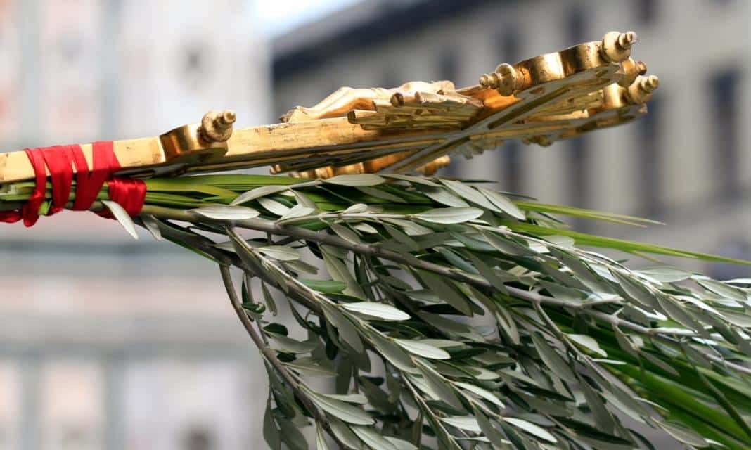 Tradycyjne Obchody Niedzieli Palmowej w Siedlcach: Jak uczcić ten dziwny dzień?