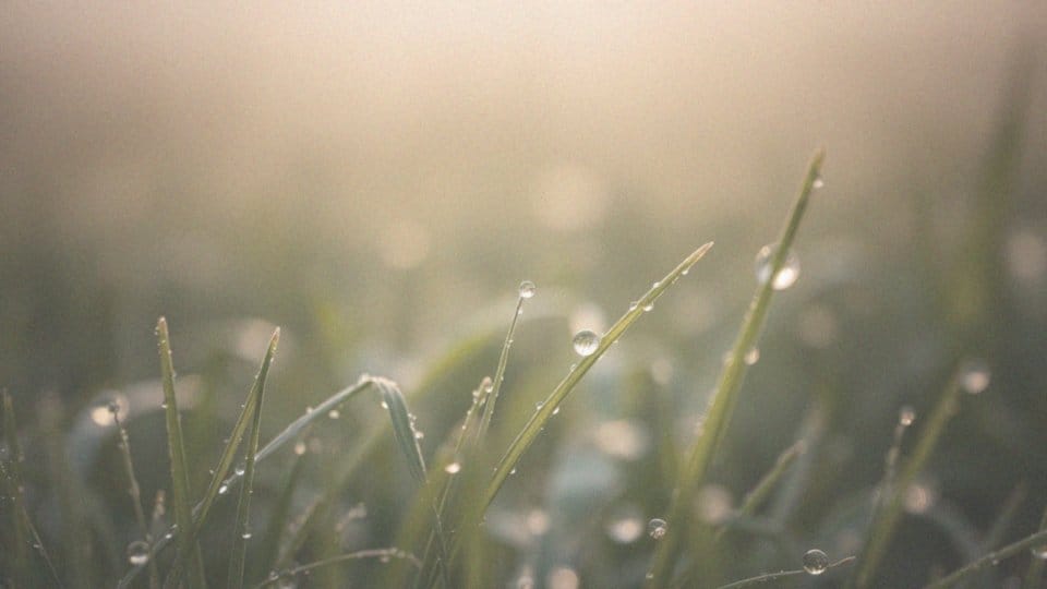 Oczy po marihuanie – przyczyny i sposoby na czerwone oczy