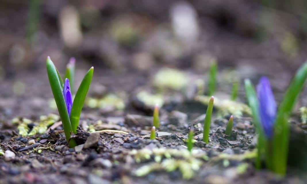 W Siedlcach nastała wiosna. Jak celebrować pierwszy dzień tej pory roku?