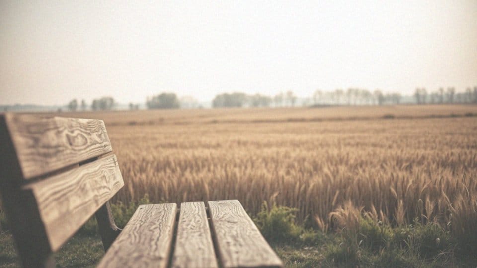 Po ilu latach emerytura? Warunki i informacje potrzebne do przejścia