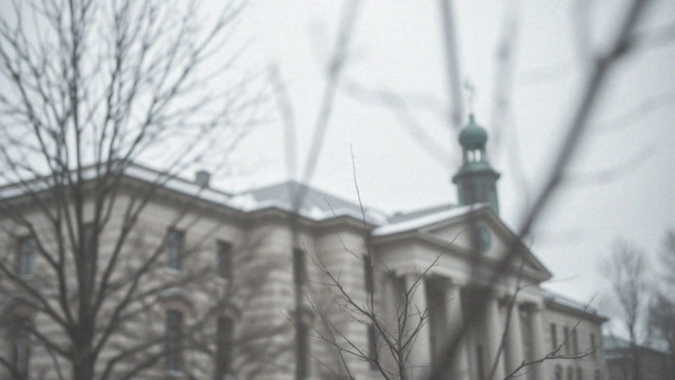 Syn Zenka Martyniuka w więzieniu – kontrowersje i wyrok