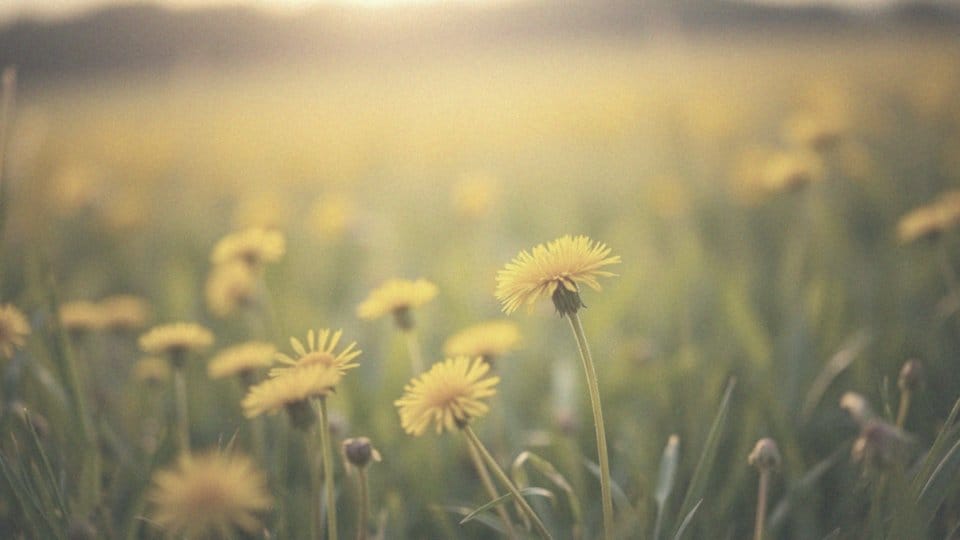 Zespół Downa ciekawostki – co warto wiedzieć o trisomii 21?